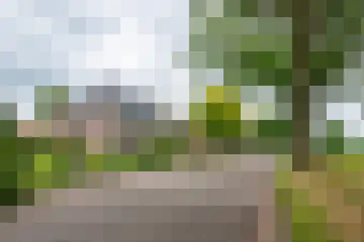 Burg Tonkensstraat 1 A Zweeloo thumbnail 9