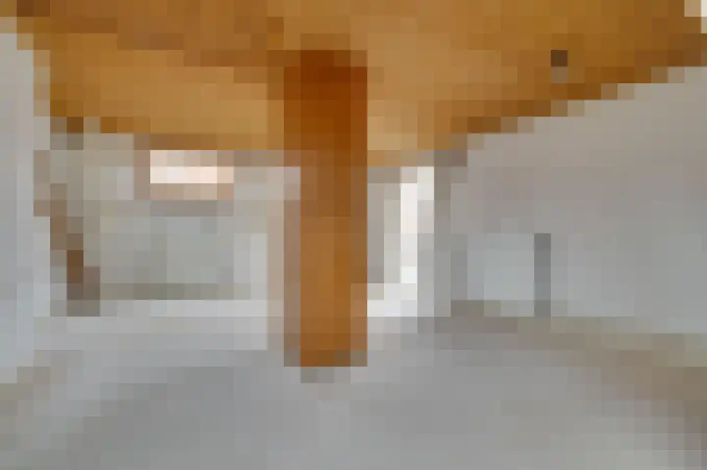 Burg. Tutein Noltheniuslaan 1 A Apeldoorn thumbnail 23