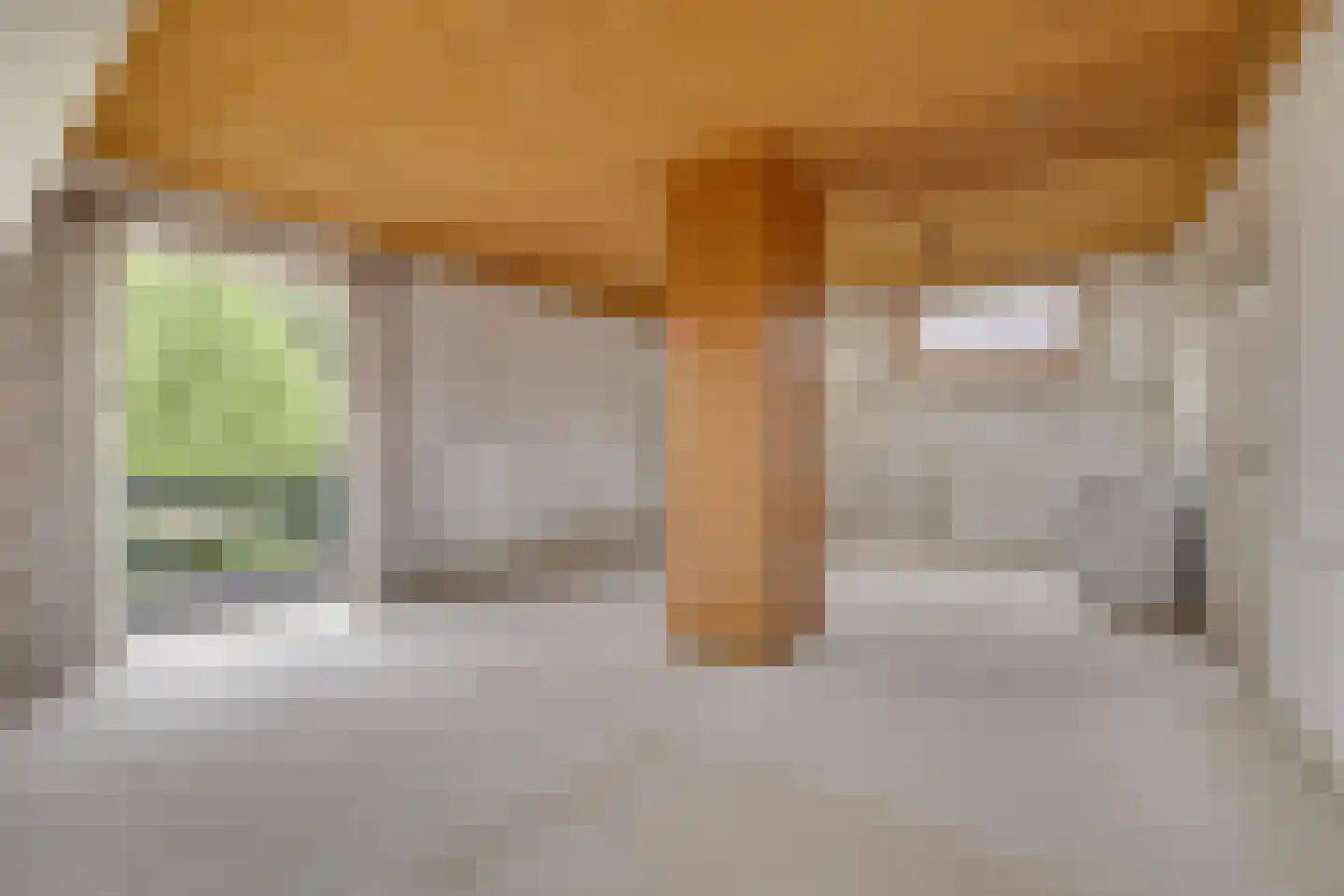 Burg. Tutein Noltheniuslaan 1 A Apeldoorn thumbnail 25