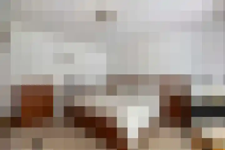 Burg. Tutein Noltheniuslaan 19 A Apeldoorn thumbnail 21