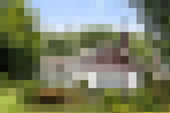 Burg. Tutein Noltheniuslaan 19 A Apeldoorn thumbnail 23