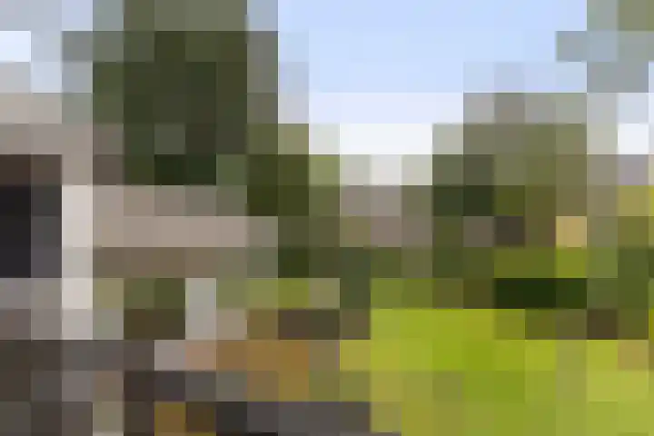 Burg. Tutein Noltheniuslaan 19 A Apeldoorn thumbnail 24