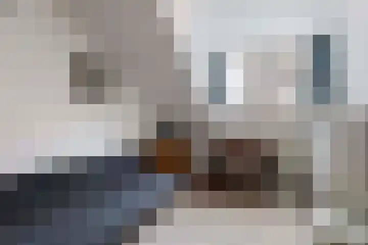 Burg. Tutein Noltheniuslaan 19 A Apeldoorn thumbnail 29