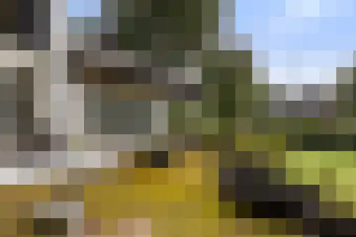 Burg. Tutein Noltheniuslaan 19 A Apeldoorn thumbnail 30