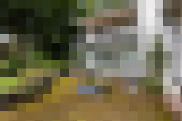 Burg. Tutein Noltheniuslaan 19 A Apeldoorn thumbnail 31