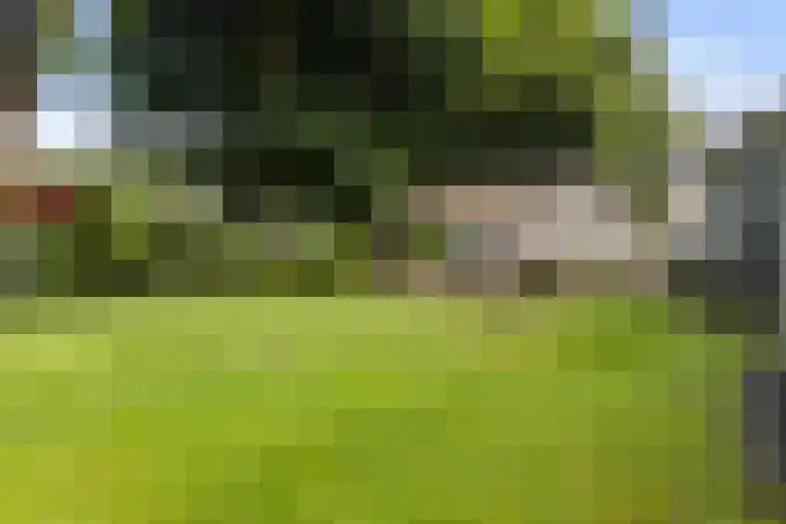 Burg. Tutein Noltheniuslaan 19 A Apeldoorn thumbnail 33