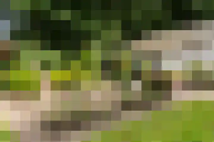 Burg. Tutein Noltheniuslaan 19 A Apeldoorn thumbnail 35