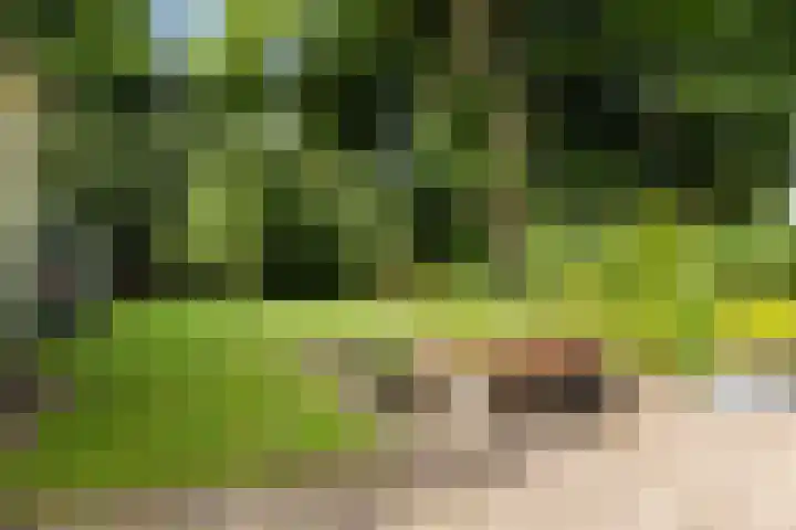 Burg. Tutein Noltheniuslaan 19 A Apeldoorn thumbnail 36