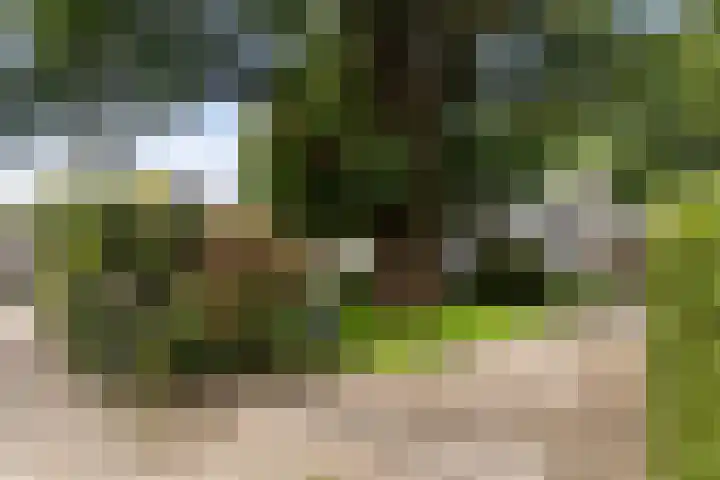 Burg. Tutein Noltheniuslaan 19 A Apeldoorn thumbnail 38