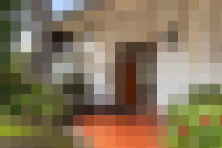 Burg. Tutein Noltheniuslaan 19 A Apeldoorn thumbnail 4