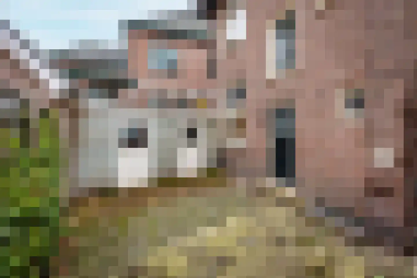 Burg. Tutein Noltheniuslaan 2 Apeldoorn thumbnail 31
