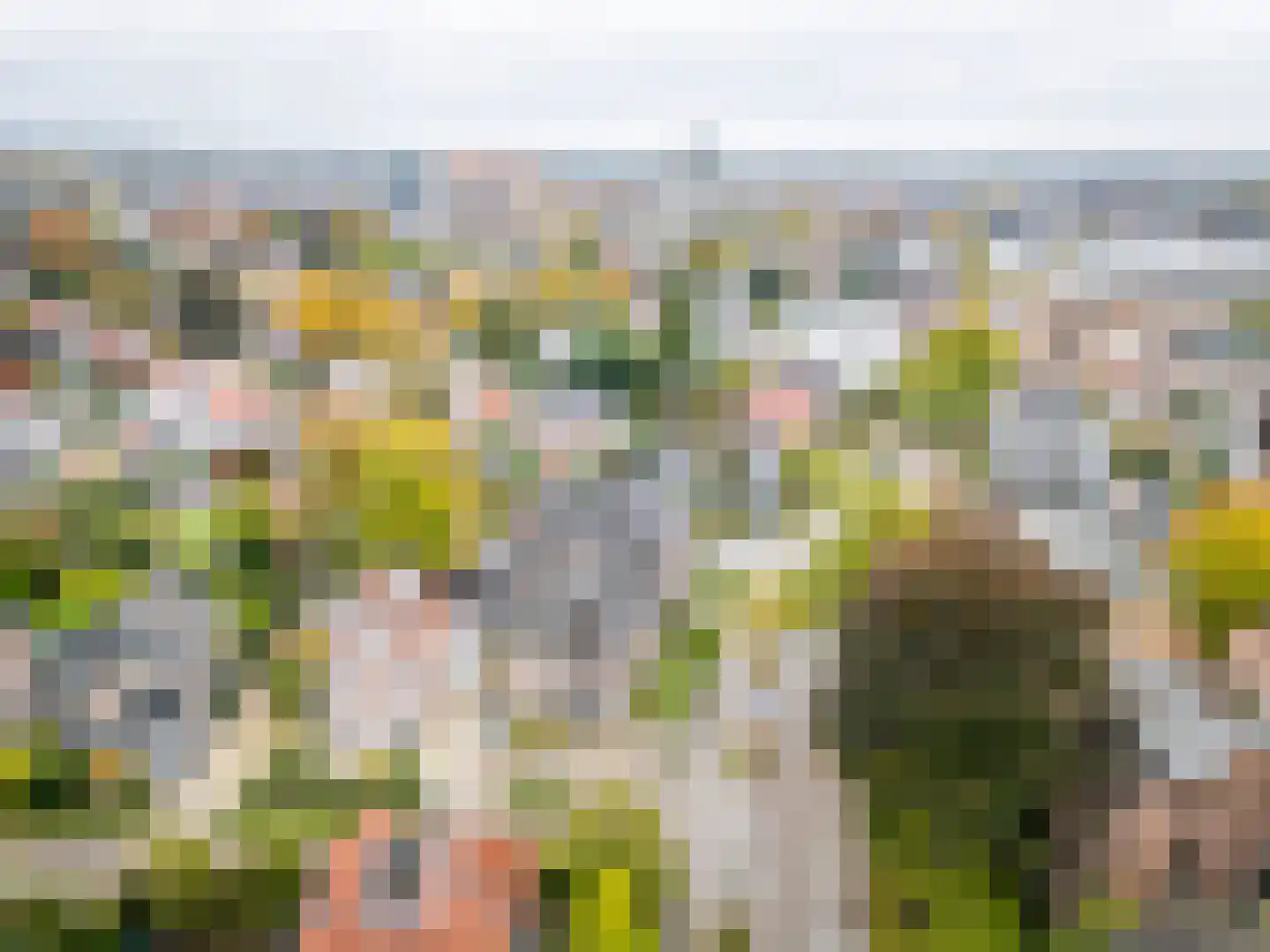 Burg. Tutein Noltheniuslaan 2 Apeldoorn thumbnail 40
