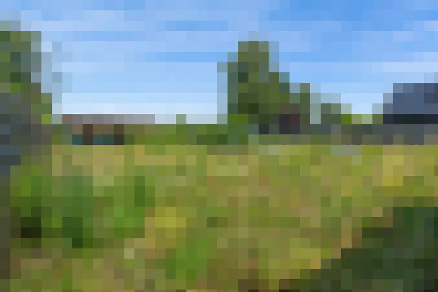 Burg v Roijenstr Oost 200 Hoogezand thumbnail 30