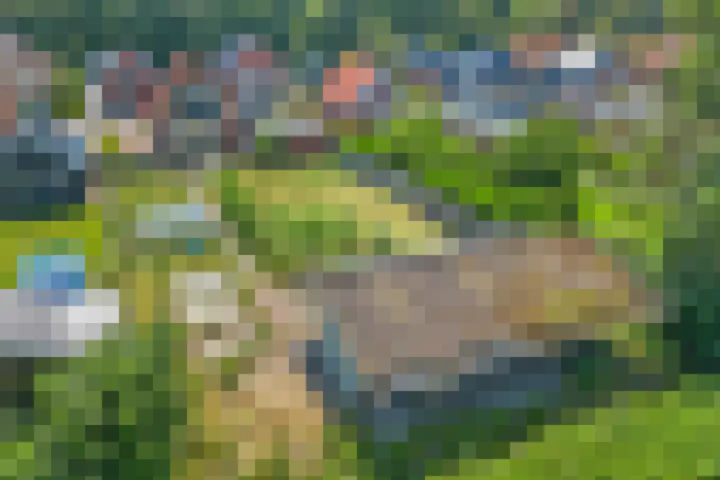 Burg v Roijenstr Oost 200 Hoogezand thumbnail 5