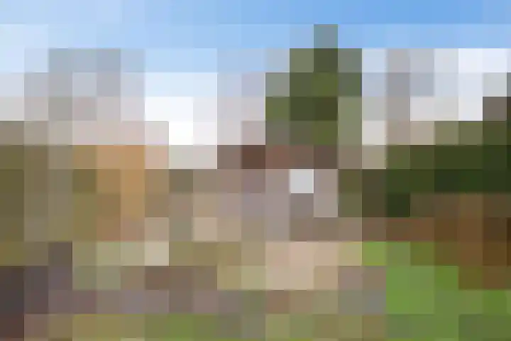 Burg v Roijenstr Oost 204 Hoogezand thumbnail 35