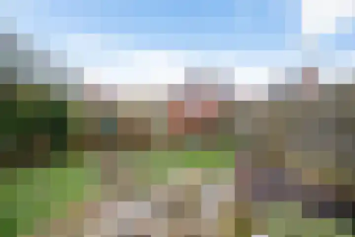 Burg v Roijenstr Oost 204 Hoogezand thumbnail 36