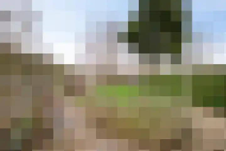 Burg v Roijenstr Oost 204 Hoogezand thumbnail 37
