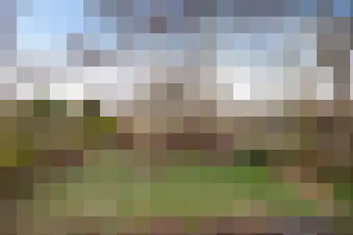 Burg v Roijenstr Oost 204 Hoogezand thumbnail 38