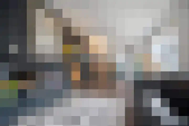 Burg v Roijenstr Oost 204 Hoogezand thumbnail 8