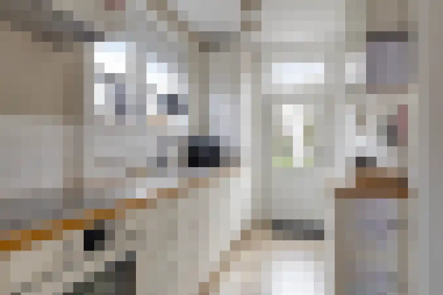 Burg v Roijenstr Oost 211 Hoogezand thumbnail 14