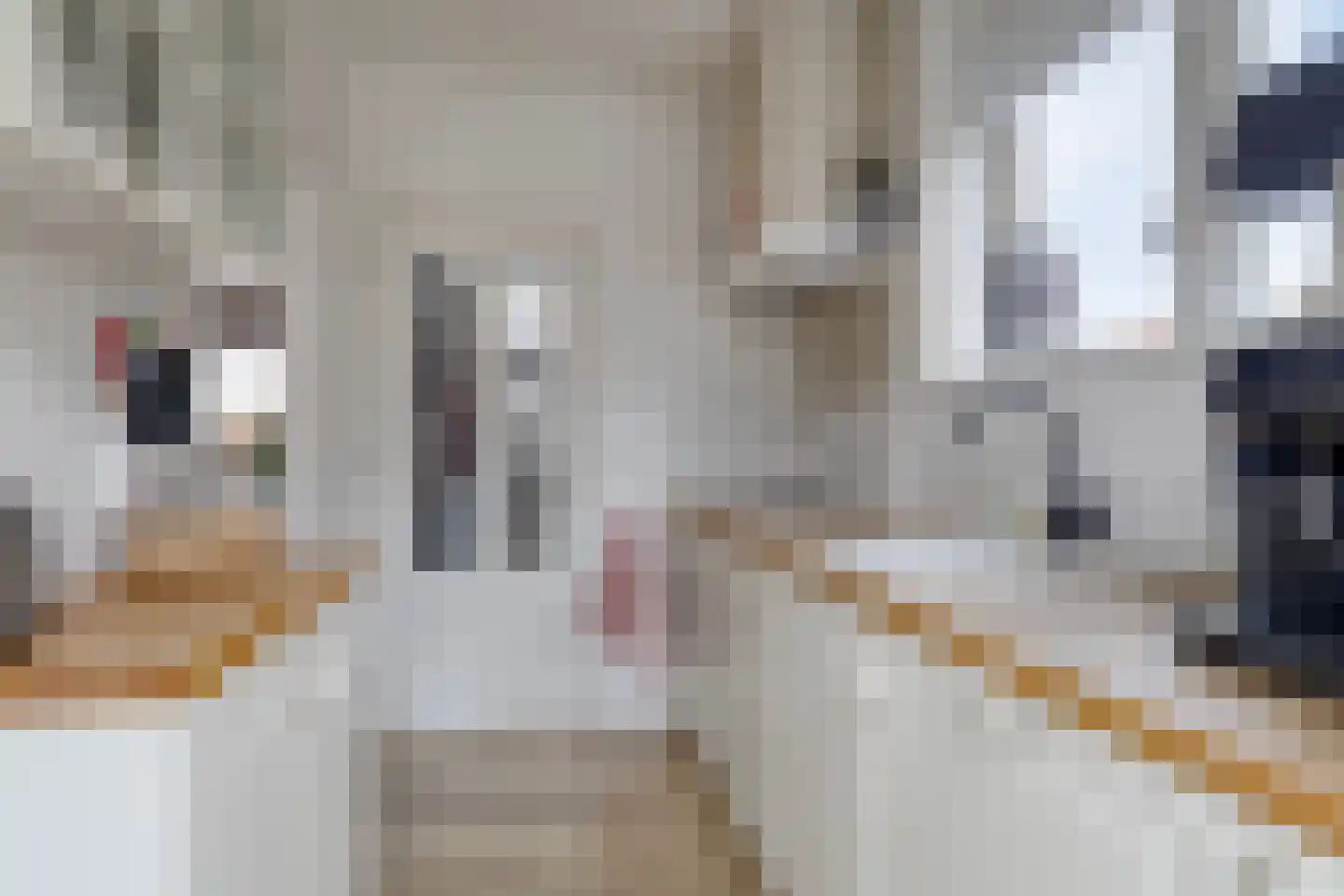 Burg v Roijenstr Oost 211 Hoogezand thumbnail 15