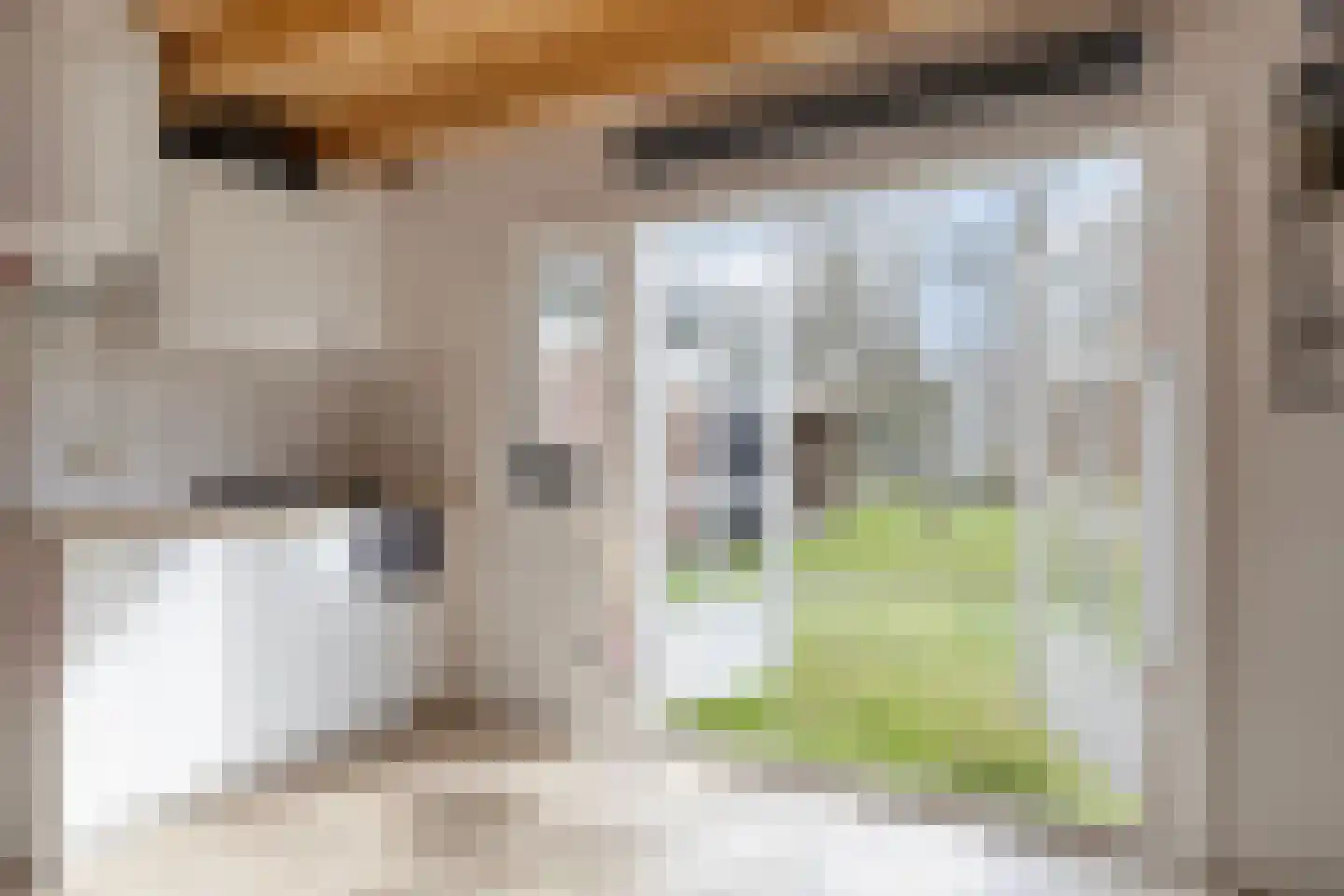 Burg v Roijenstr Oost 211 Hoogezand thumbnail 30