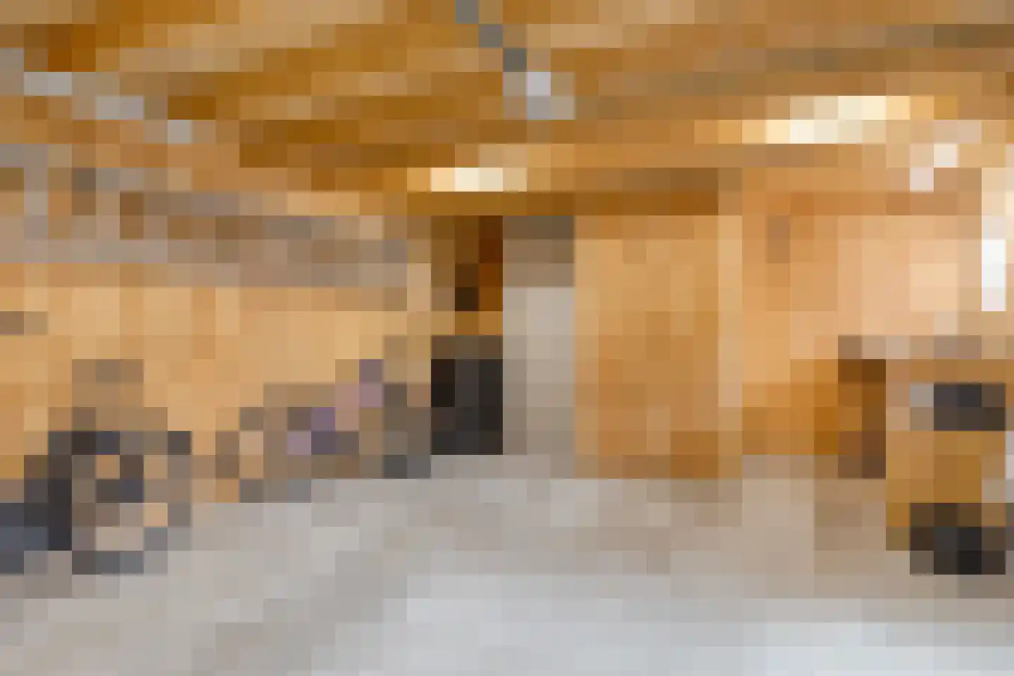 Burg v Roijenstr Oost 211 Hoogezand thumbnail 34