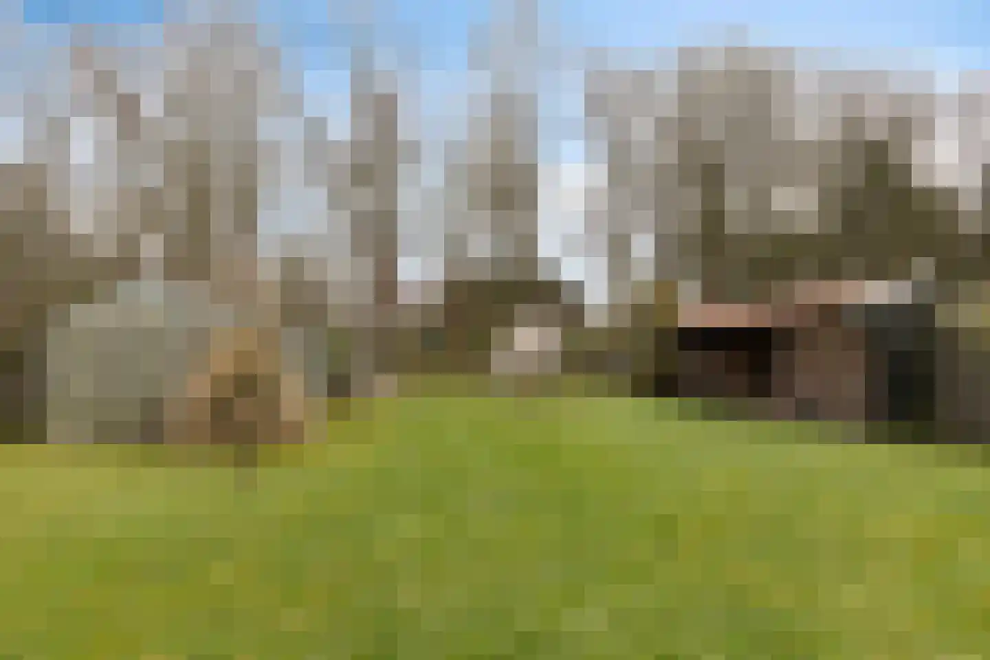 Burg v Roijenstr Oost 211 Hoogezand thumbnail 36