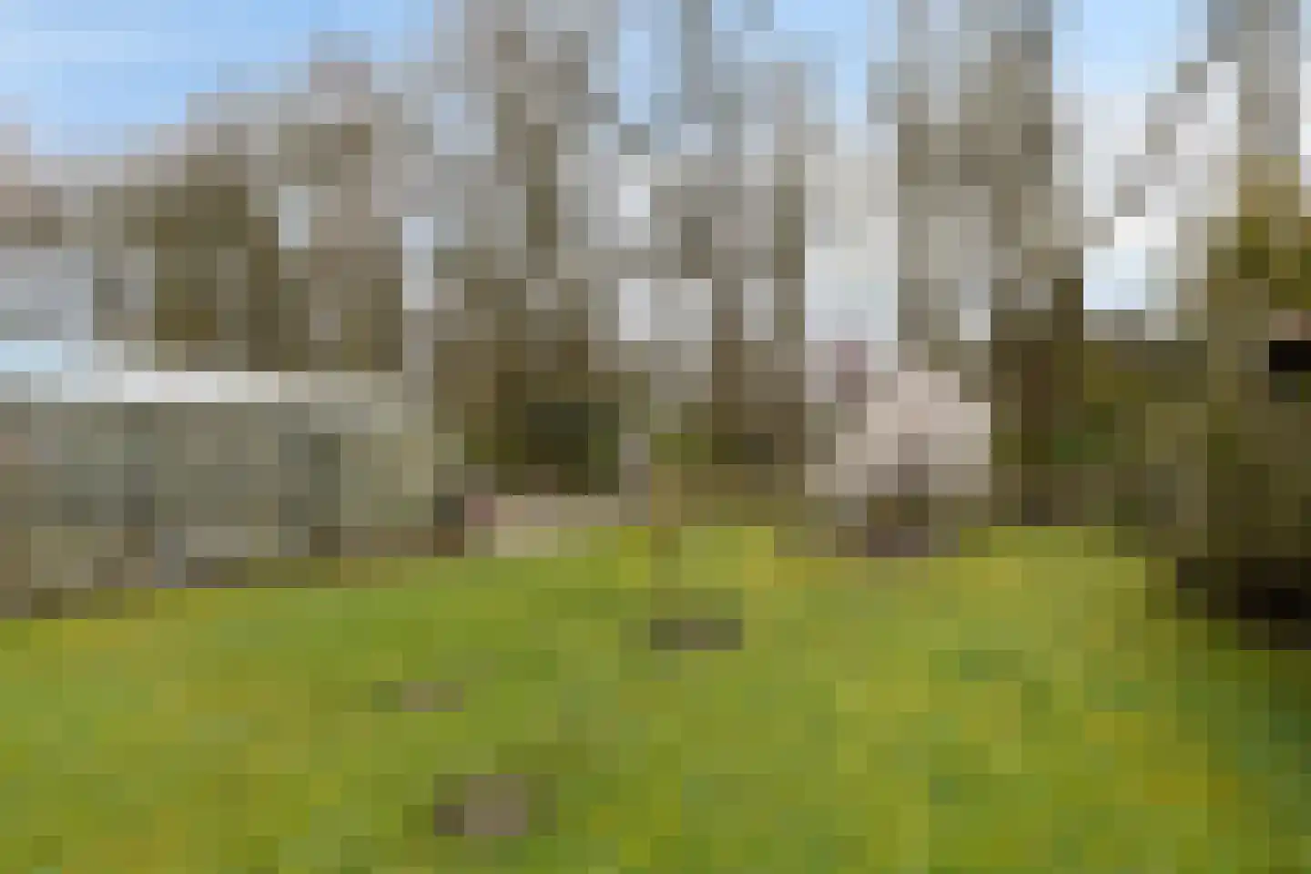 Burg v Roijenstr Oost 211 Hoogezand thumbnail 38