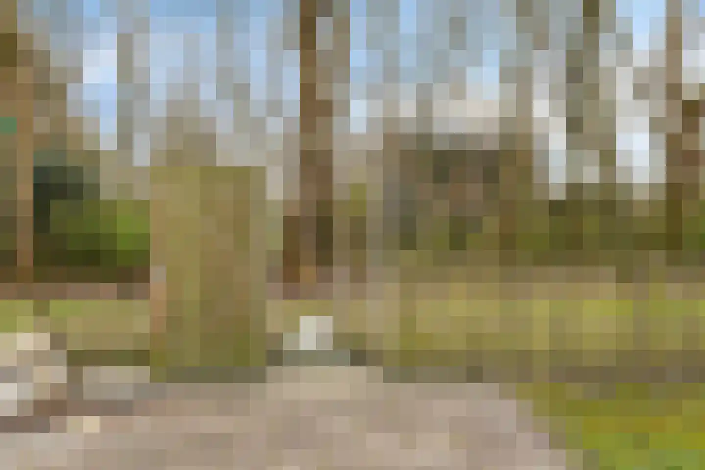 Burg v Roijenstr Oost 211 Hoogezand thumbnail 39