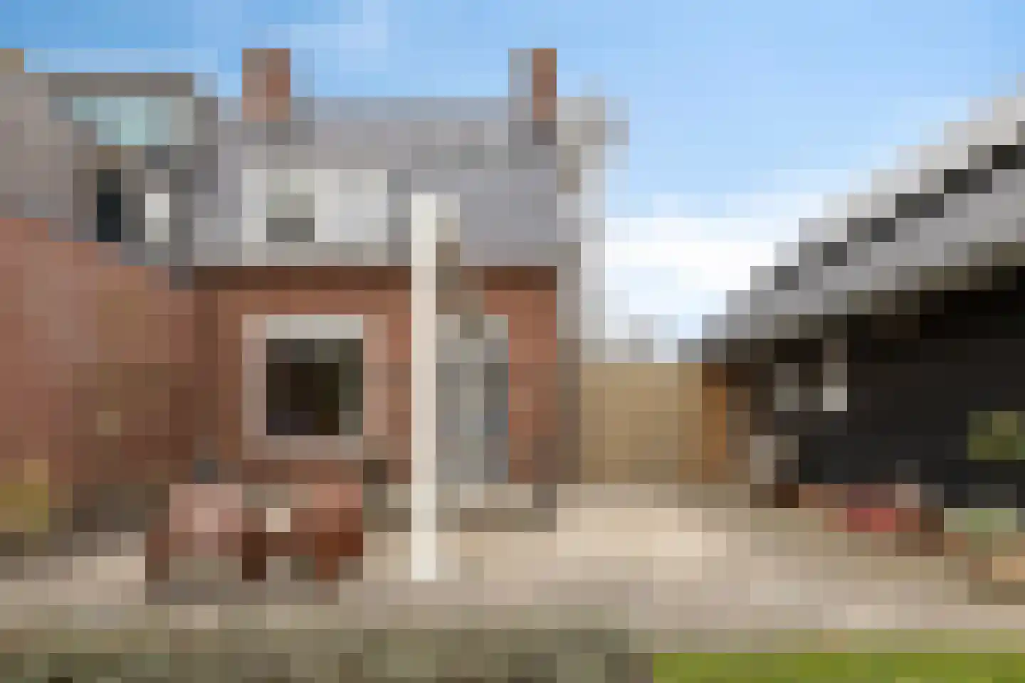 Burg v Roijenstr Oost 211 Hoogezand thumbnail 41