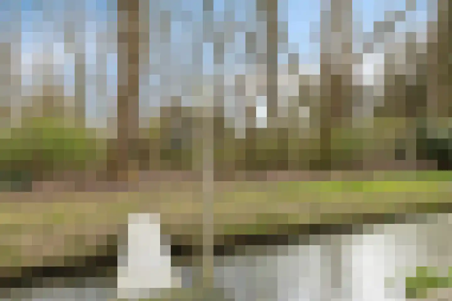 Burg v Roijenstr Oost 211 Hoogezand thumbnail 46
