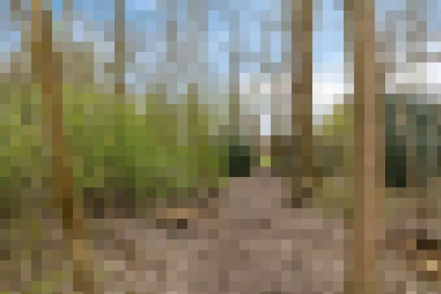 Burg v Roijenstr Oost 211 Hoogezand thumbnail 49