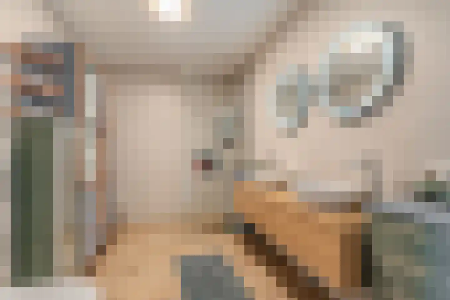 Burg v Roijenstr Oost 4 Hoogezand thumbnail 37