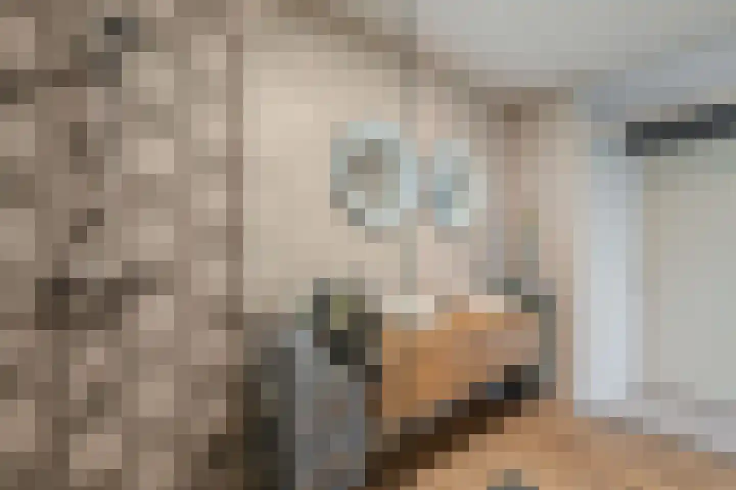 Burg v Roijenstr Oost 4 Hoogezand thumbnail 39