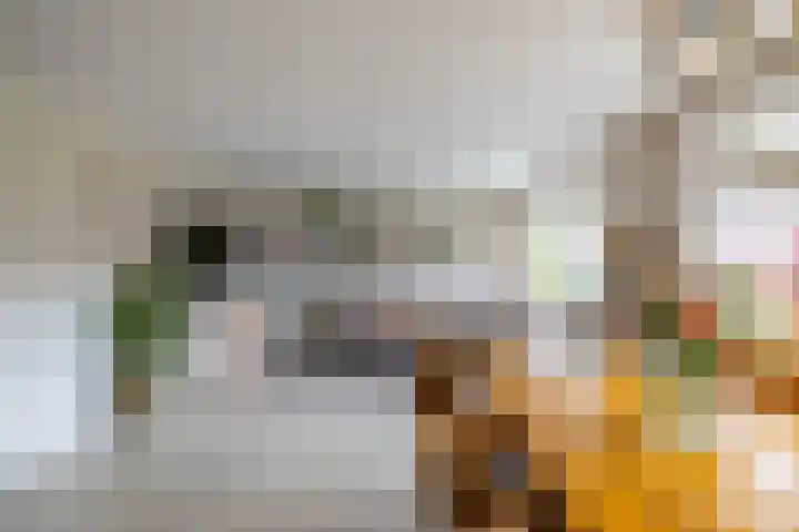 Burg v Roijenstr Oost 40 Hoogezand thumbnail 10