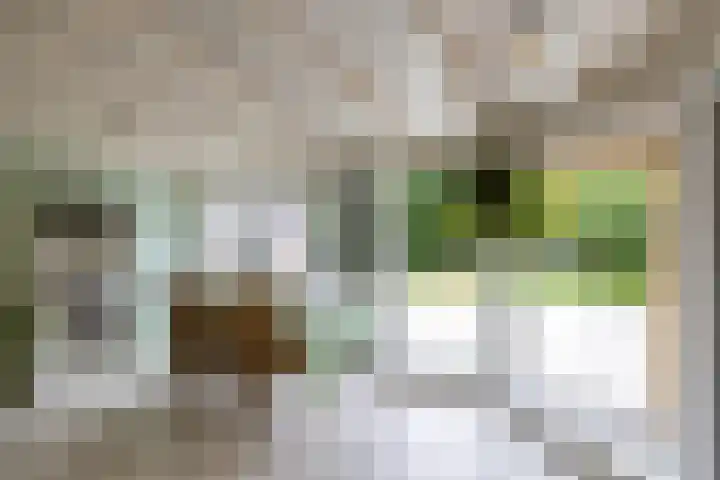 Burg v Roijenstr Oost 40 Hoogezand thumbnail 20