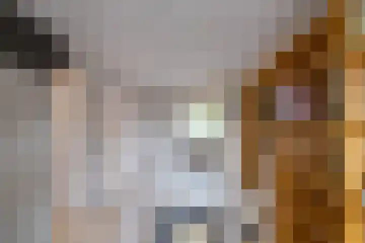Burg v Roijenstr Oost 40 Hoogezand thumbnail 30