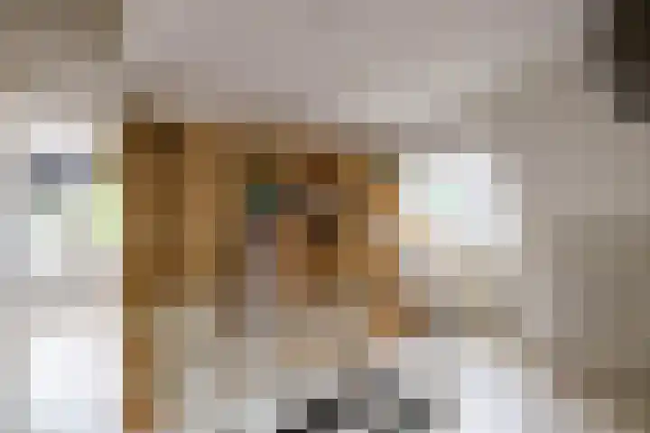 Burg v Roijenstr Oost 40 Hoogezand thumbnail 35