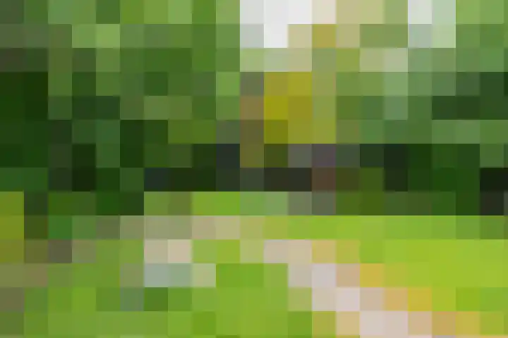 Burg v Roijenstr Oost 40 Hoogezand thumbnail 4