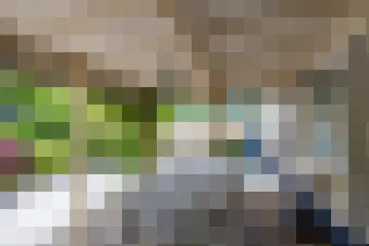 Burg v Roijenstr Oost 40 Hoogezand thumbnail 45