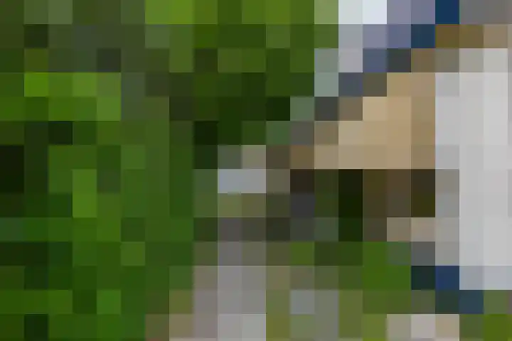 Burg v Roijenstr Oost 40 Hoogezand thumbnail 46