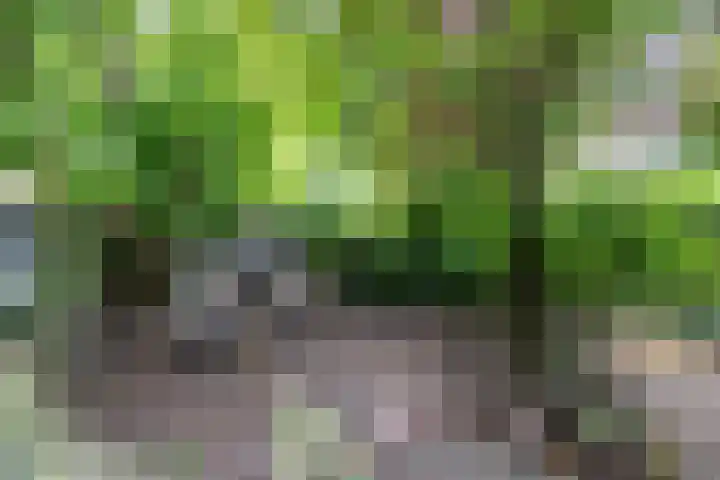 Burg v Roijenstr Oost 40 Hoogezand thumbnail 53