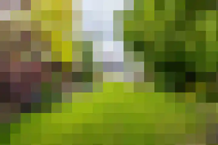 Burg v Roijenstr Oost 40 Hoogezand thumbnail 54