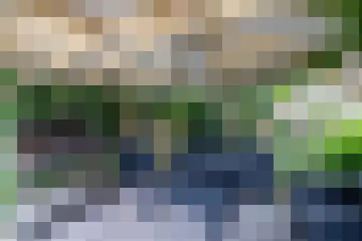Burg v Roijenstr Oost 40 Hoogezand thumbnail 55