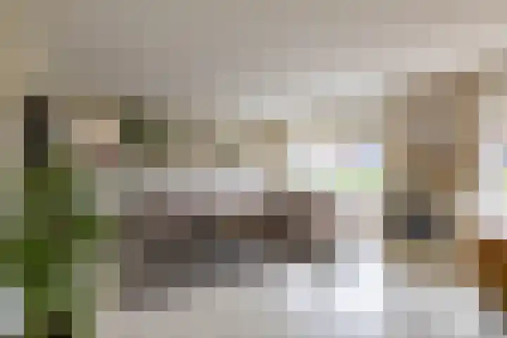 Burg v Roijenstr Oost 40 Hoogezand thumbnail 9