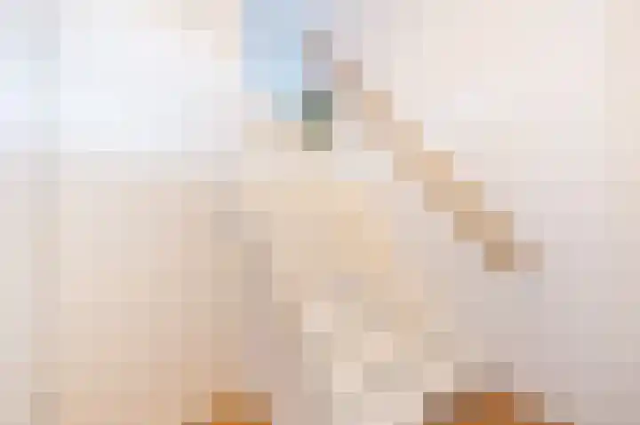 Burg v Roijenstr Oost 47 Hoogezand thumbnail 35