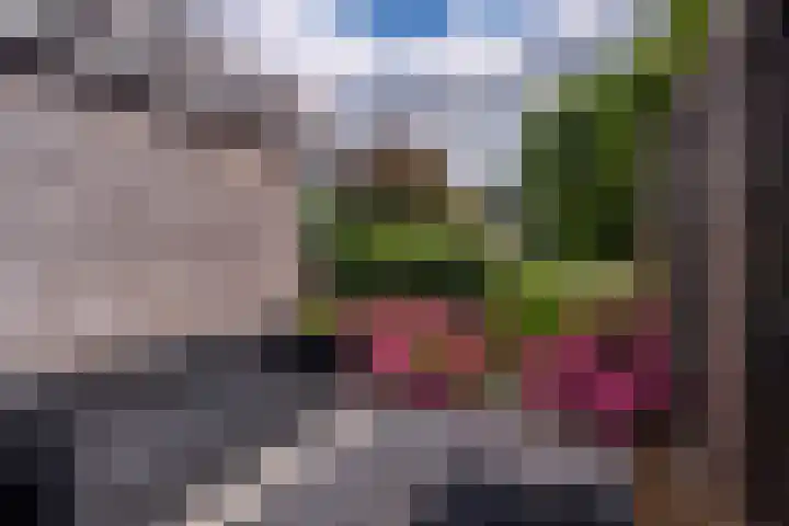 Burg v Roijenstr Oost 47 Hoogezand thumbnail 49