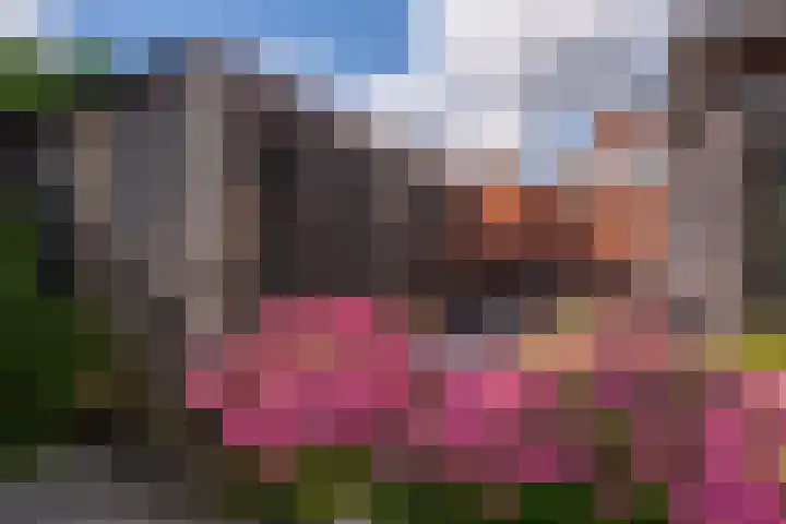 Burg v Roijenstr Oost 47 Hoogezand thumbnail 50