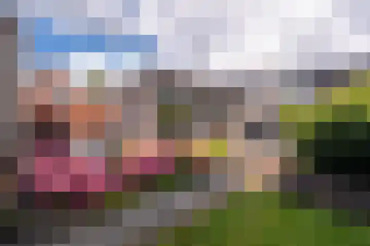 Burg v Roijenstr Oost 47 Hoogezand thumbnail 51